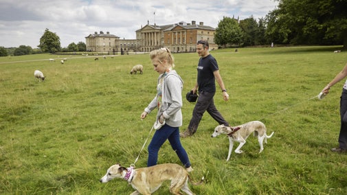 Visitors walking dogs in the garden in front of Kedleston Hall
